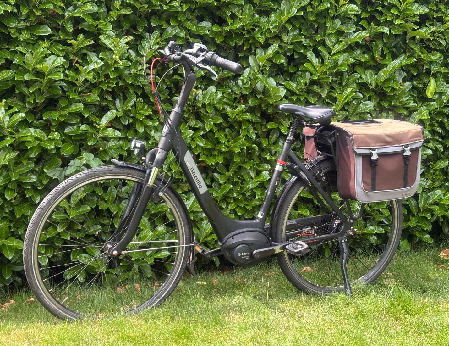 Gazelle Paris 2021 Bosch Active Line Plus 500Wh 53cm, 51 tot 55 cm, Ophalen, Zo goed als nieuw, Gazelle