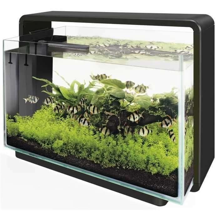 AQUARIUM SUPERFISH HOME 60 COMPLEET, Dieren en Toebehoren, Ophalen, Verwarming, Zo goed als nieuw, Leeg aquarium