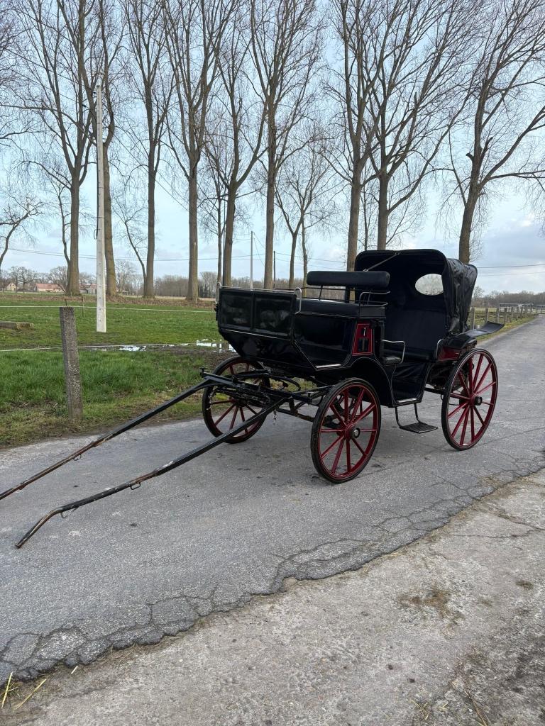 Replica victoriakoets voor onderdelen!, Gebruikt, Overige typen, Paard of Pony