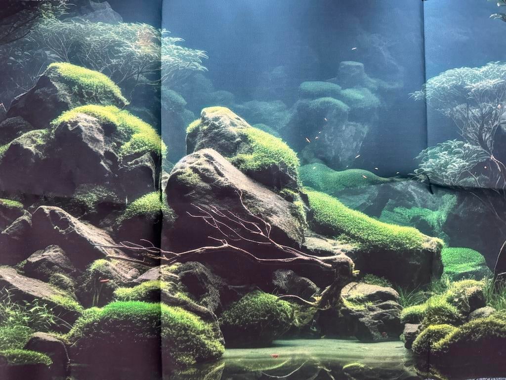 Achtergrond aquarium, Dieren en Toebehoren, Ophalen of Verzenden, Nieuw