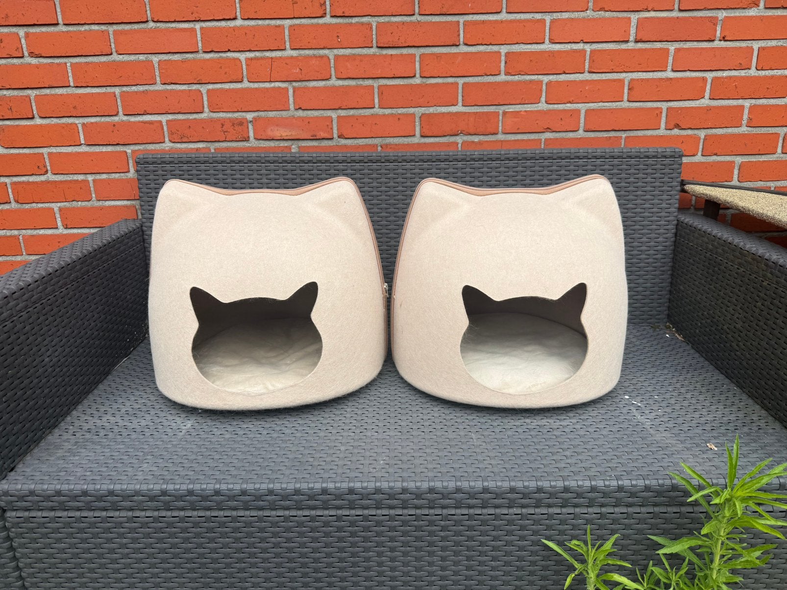 Kattengrot, Enlèvement, Comme neuf