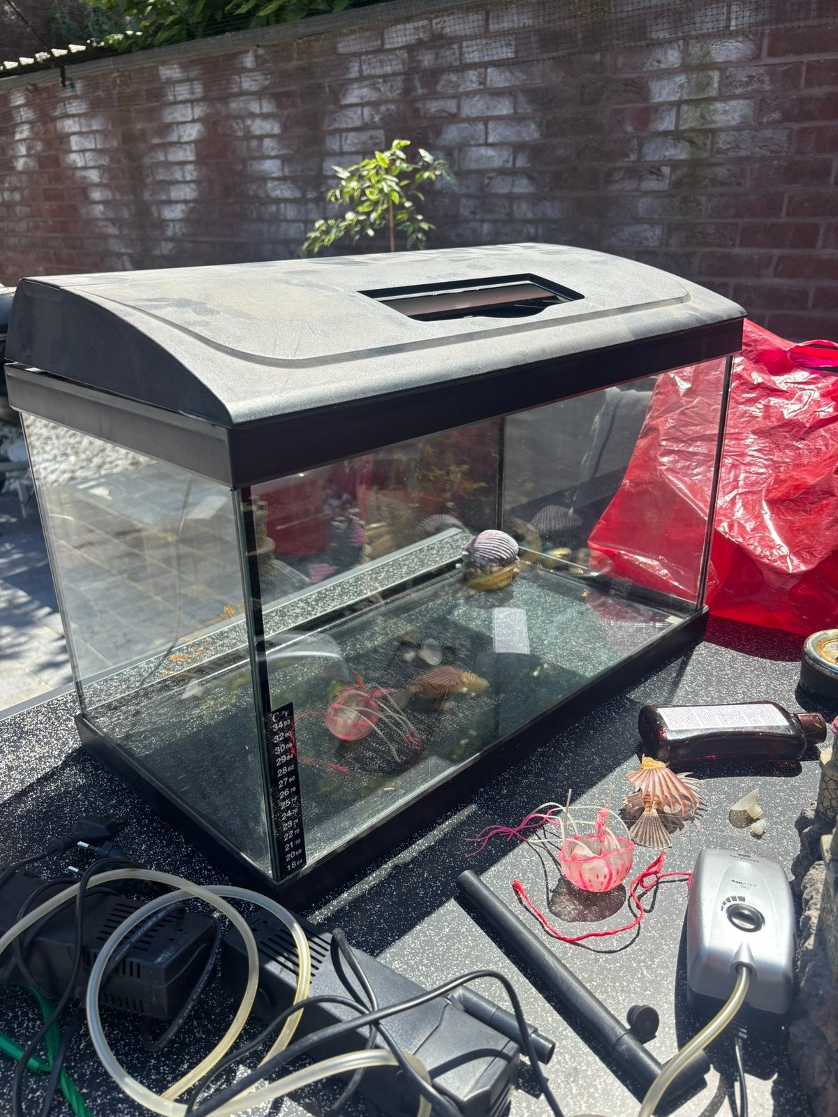Aquarium + toebehoren, Dieren en Toebehoren, Ophalen, Gebruikt