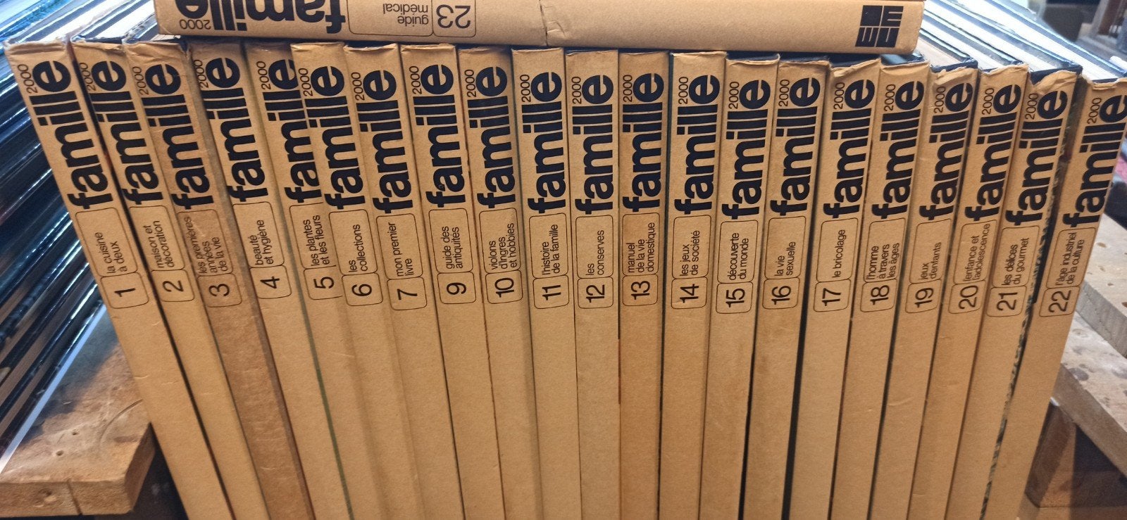 Lot boekstijl familie-encyclopedie 2000, Boeken, Ophalen