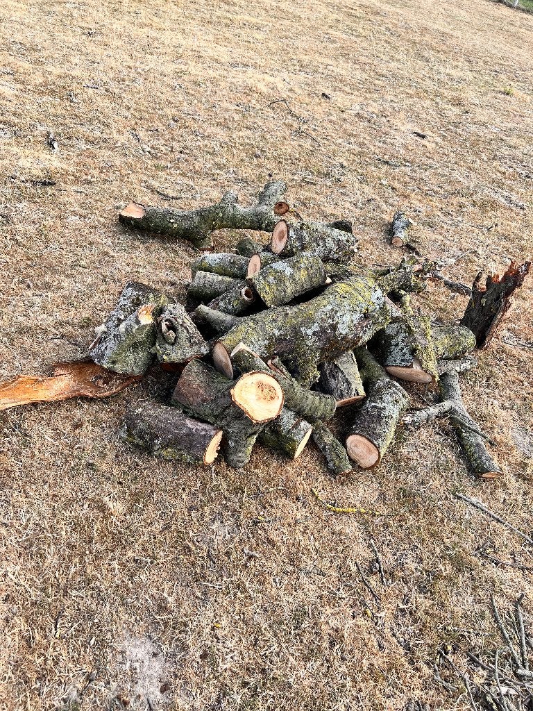 Hout (kers), Tuin en Terras, Brandhout, Ophalen