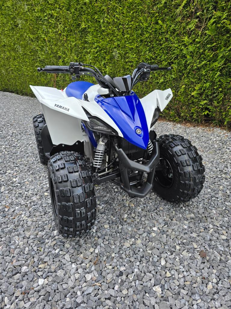 Yamaha raptor 50cc état irréprochable !!!, Occasion, Jusqu'à 11 kW, Particulier, 1 cylindre