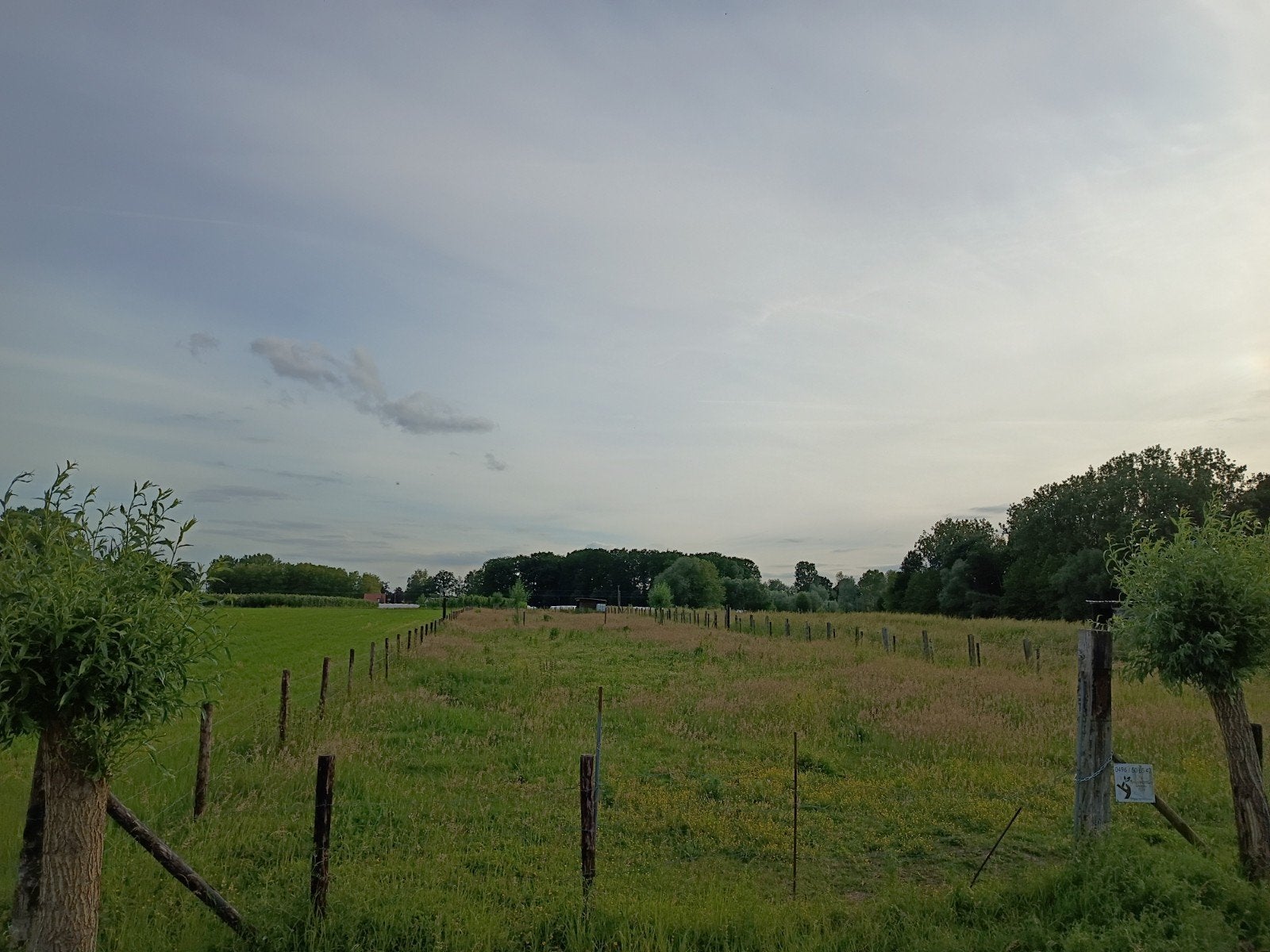 Weide te huur, Dieren en Toebehoren, Weidegang