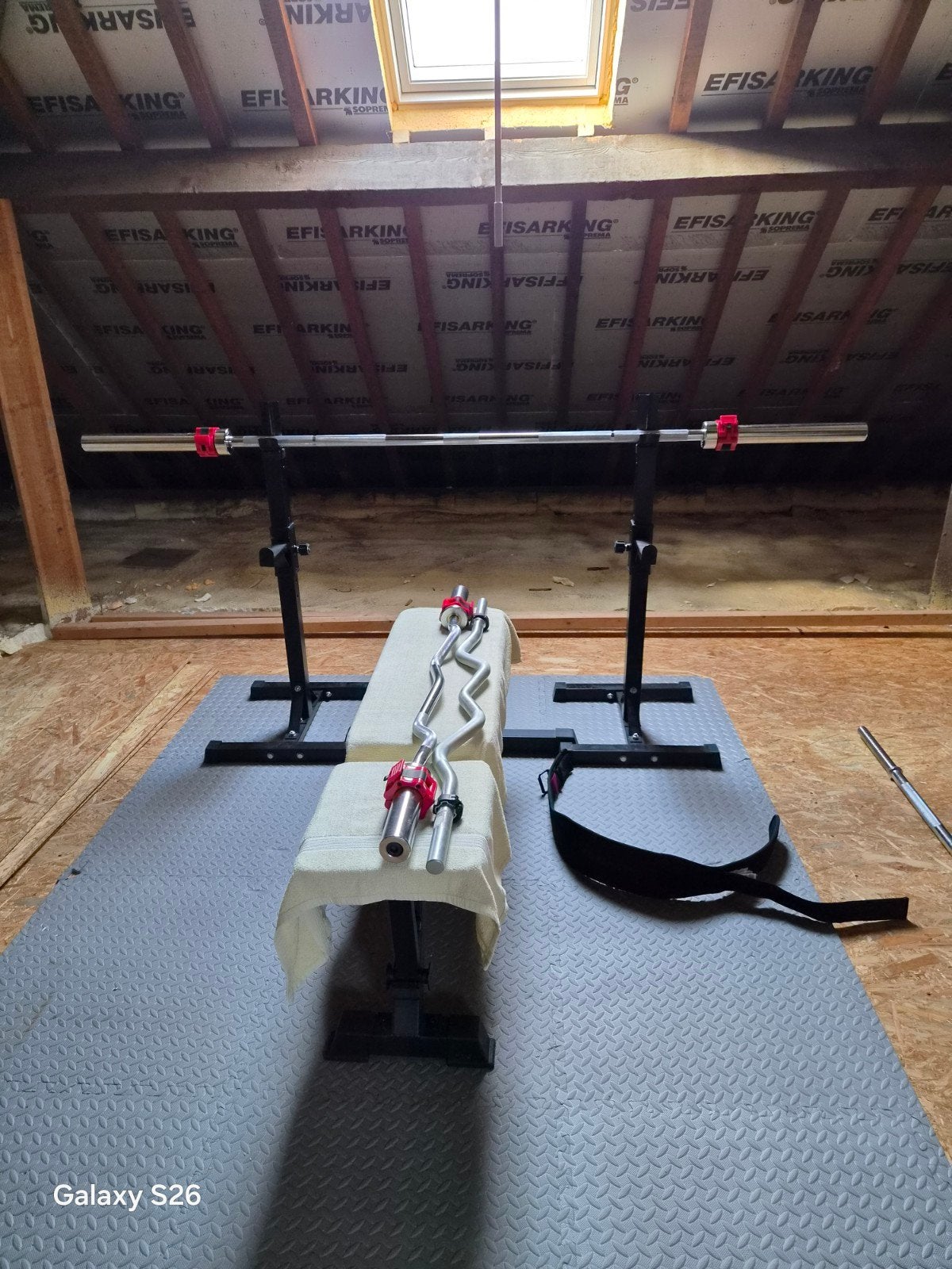 musculation, Enlèvement, Comme neuf, Bras, Haltère