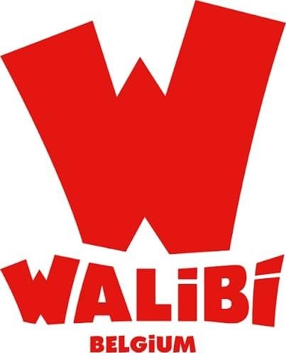 4 billets adultes walibi disponibles, Tickets & Billets, Ticket ou Carte d'accès