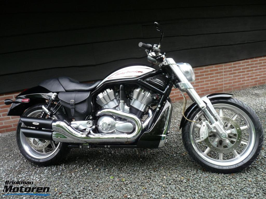 Zeer nette VRSCR Street Rod V-Rod V Rod, Chopper, 1130 cc, Particulier, Meer dan 35 kW
