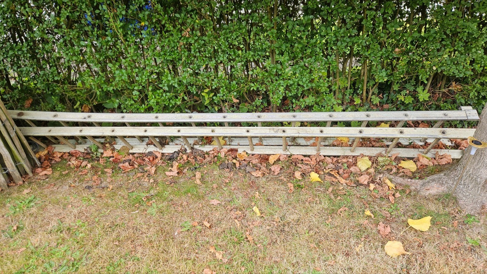 GRATIS : schuifladder 2 x 4 meter, Doe-het-zelf en Bouw, Ophalen, Gebruikt, Ladder, Opvouwbaar of Inschuifbaar