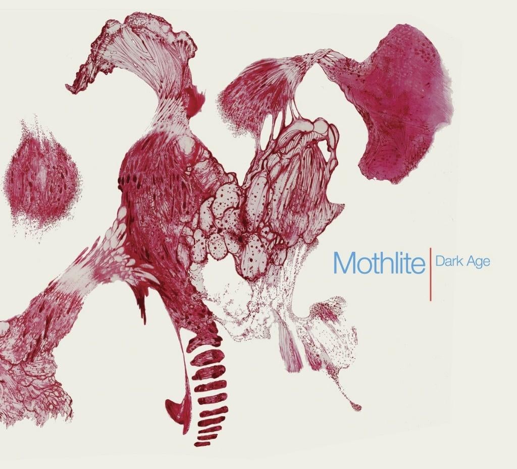 MOTHLITE - Dark Age (Black Vinyl), Cd's en Dvd's, Vinyl | Rock, Nieuw in verpakking, 2010 - 2019, 12 inch, Ophalen of Verzenden