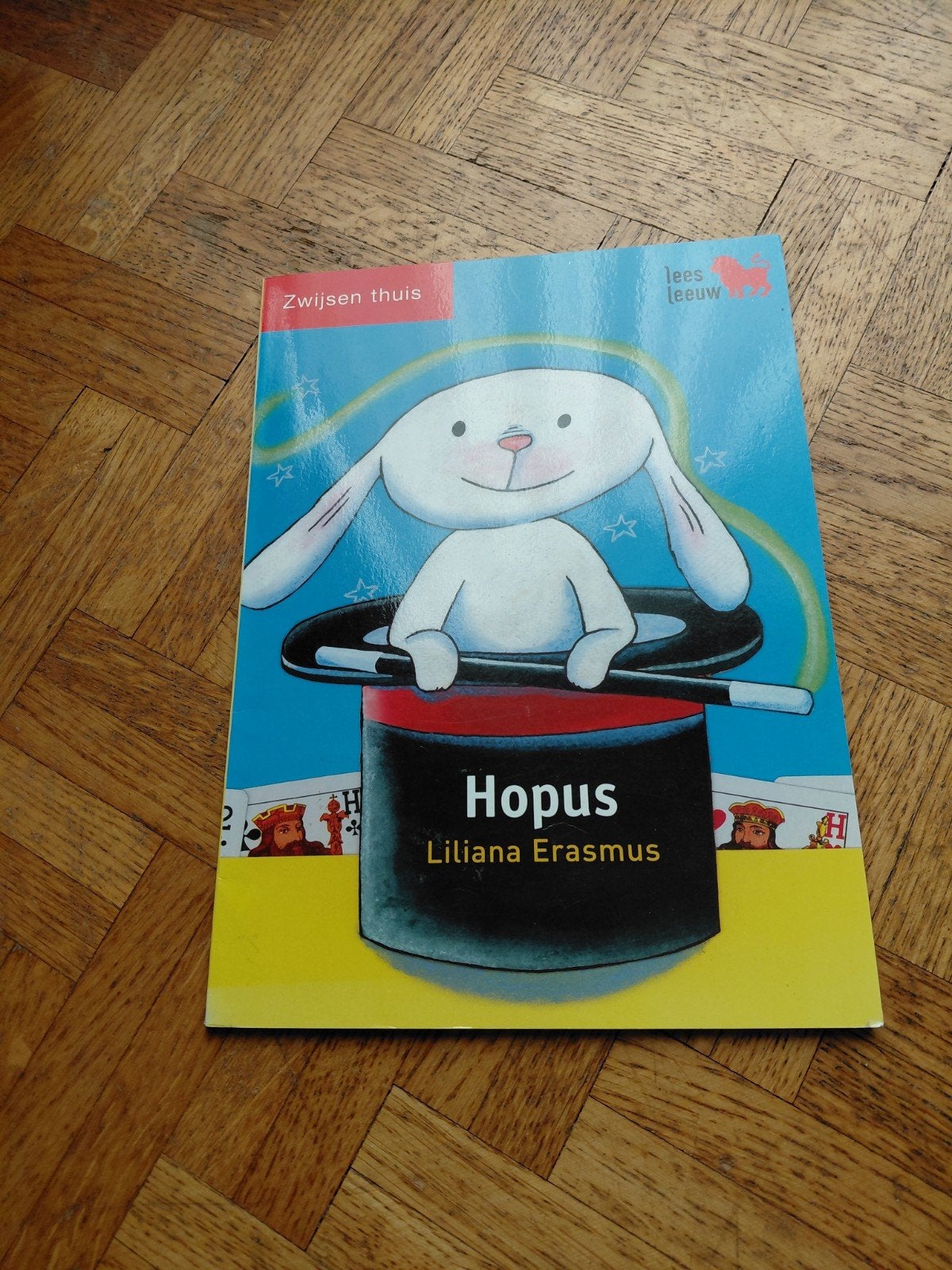 Leesleeuw: Liliana Erasmus : Hopus, Boeken, Ophalen of Verzenden