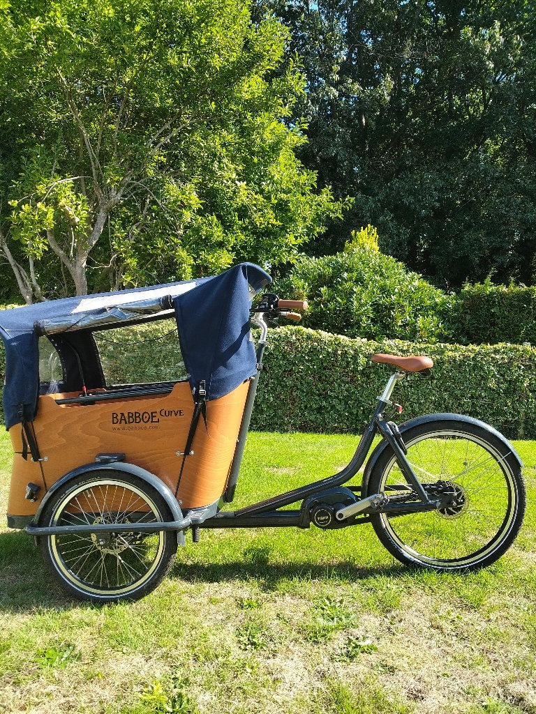 Elektrische bakfiets, 4 kinderen of meer, Zo goed als nieuw, Elektrisch, Schijfrem