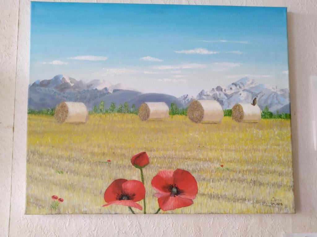 schilderij - berg en klaproos, Antiek en Kunst, Ophalen of Verzenden