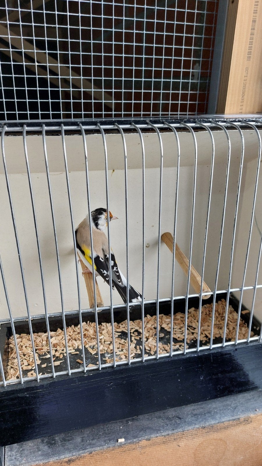 distelvink, Dieren en Toebehoren