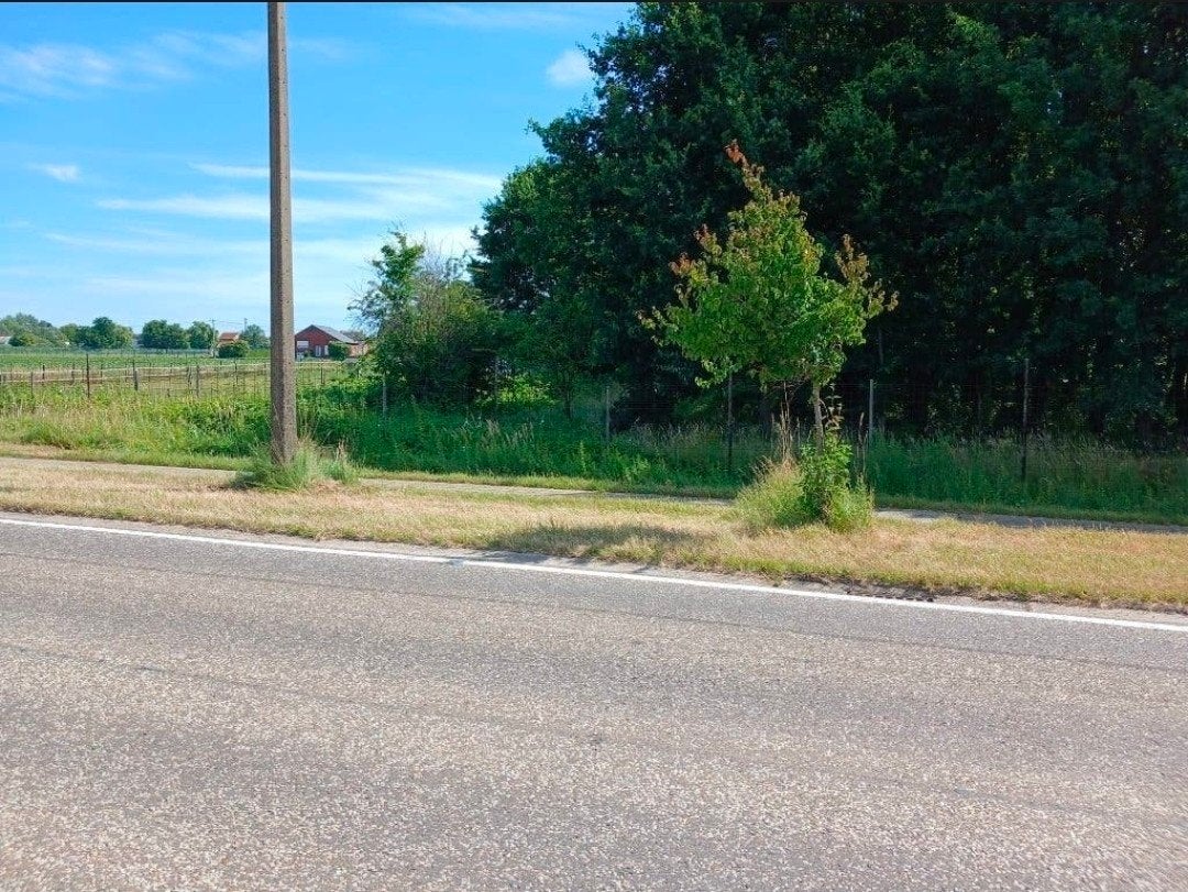 Landbouwgrond met bos / bouwland / weiland te koop, Immo, Nieuwerkerken, Verkoop zonder makelaar, 1500 m² of meer
