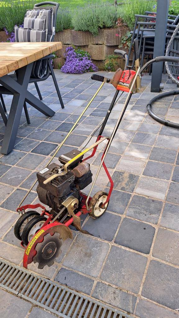 Tondeuse Edge Cutter, Jardin & Terrasse, Enlèvement