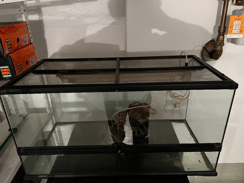exo terra terrarium, Enlèvement, Utilisé, Terrarium ou Paludarium