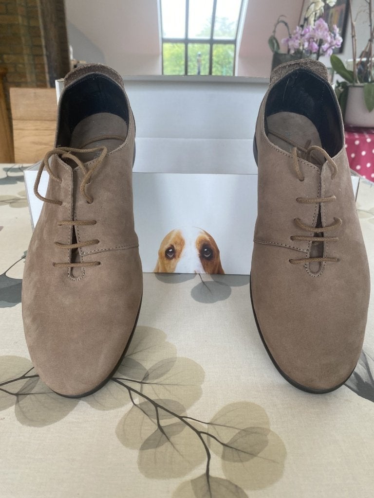 chaussures femme Hush Puppies en daim neuve pointure 39, Neuf, Enlèvement ou Envoi, Autres couleurs, Hush puppies