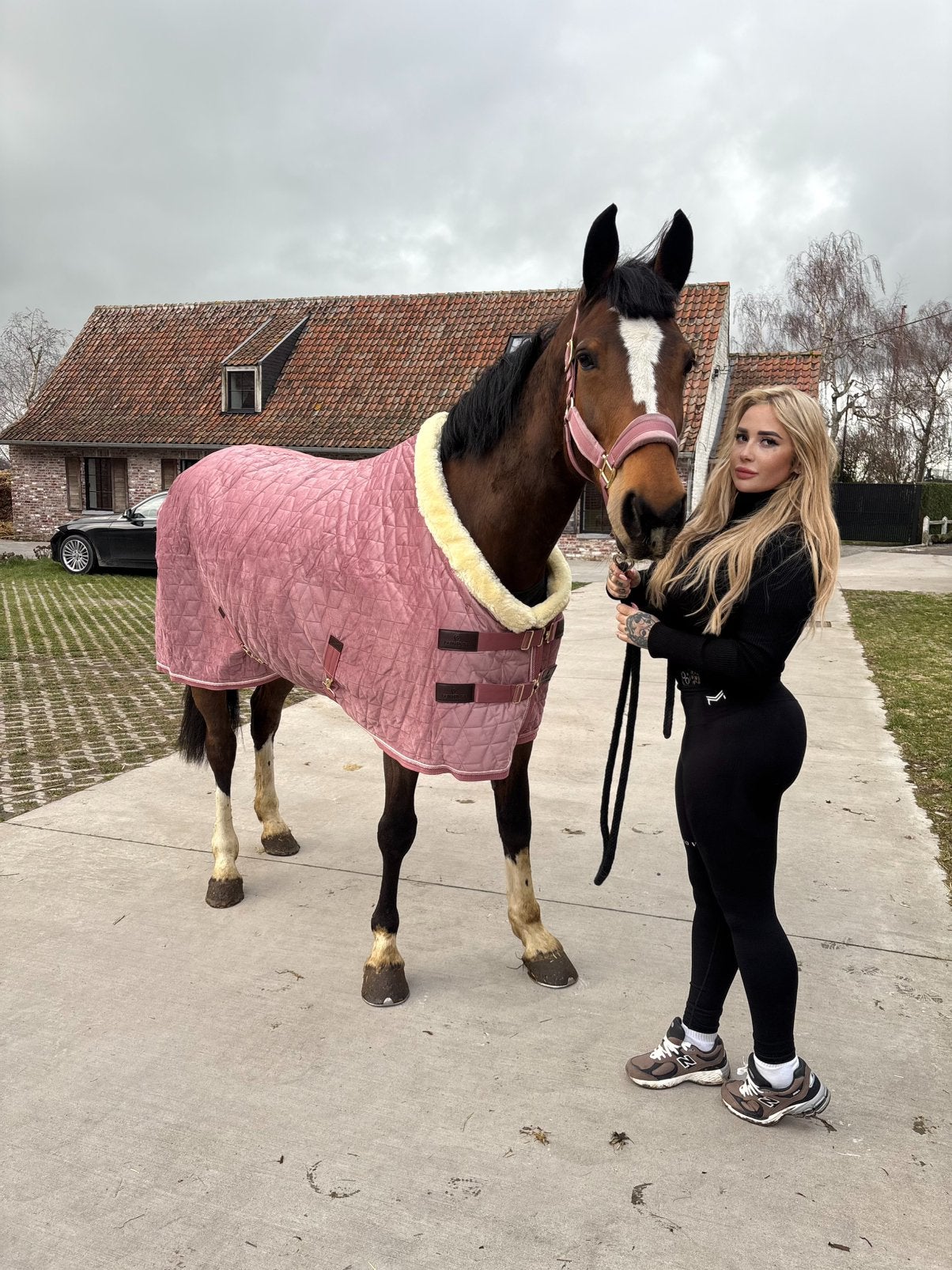 HALVE STAL GEZOCHT VOOR SKY, Animaux & Accessoires, Chevaux, Jument
