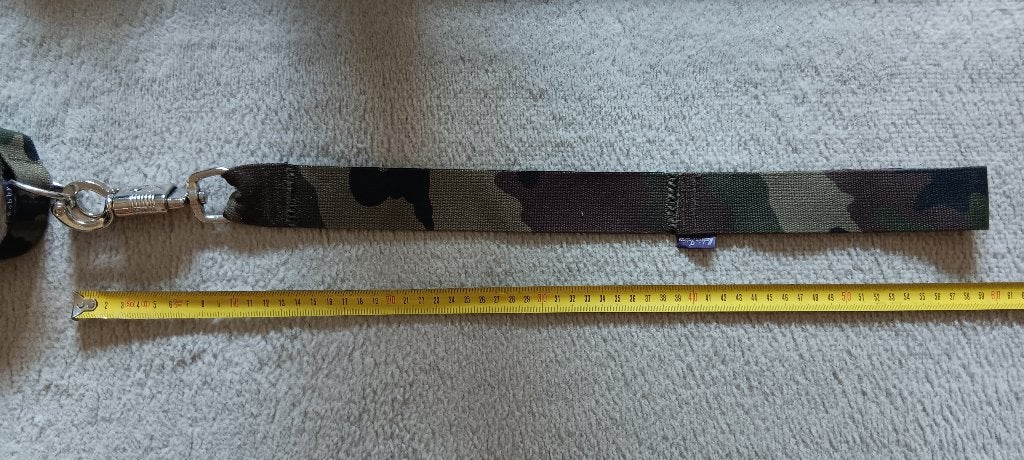 Laisse + collier pour chien !, Enlèvement, Neuf, Laisse pour chien