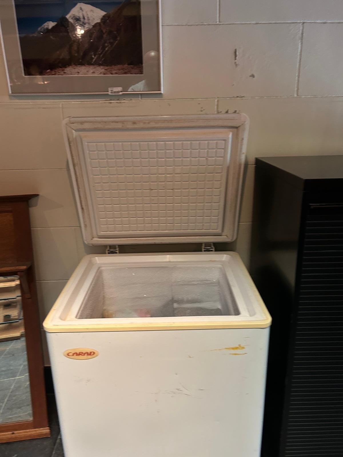 diepvries, Elektronische apparatuur, Ophalen
