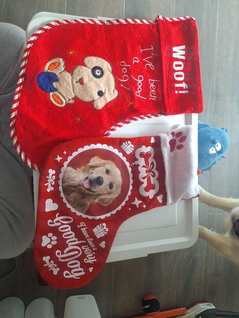 Honden kerstsokken, Dieren en Toebehoren, Hondenkleding, Ophalen, Nieuw, Overige hondenkleding