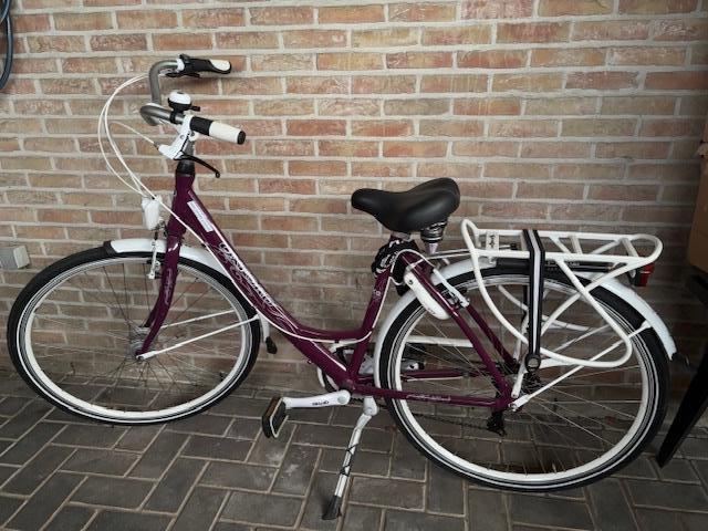 Damesfiets Oxford Blanco Negro, paars, 47 tot 50 cm, Versnellingen, Nieuw, Ophalen