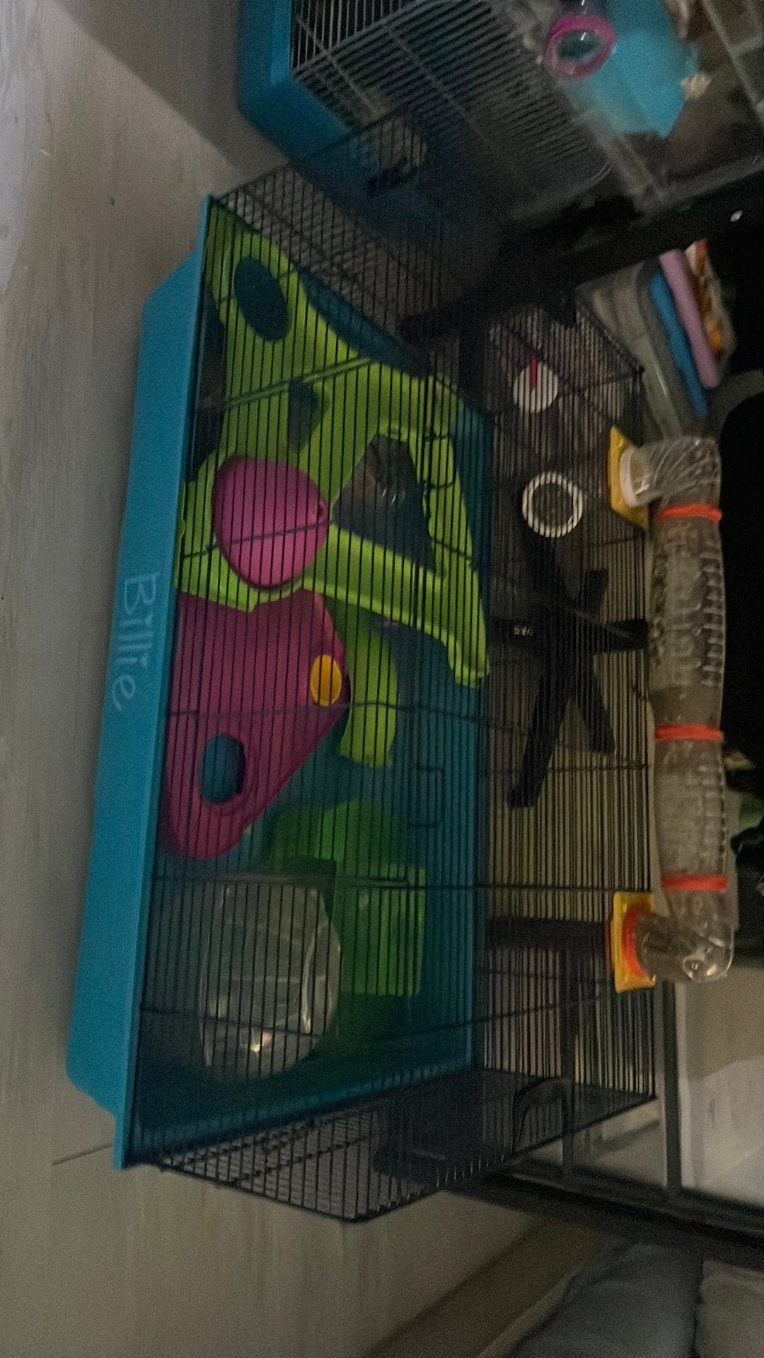 Hamsterkooi, Enlèvement, Comme neuf