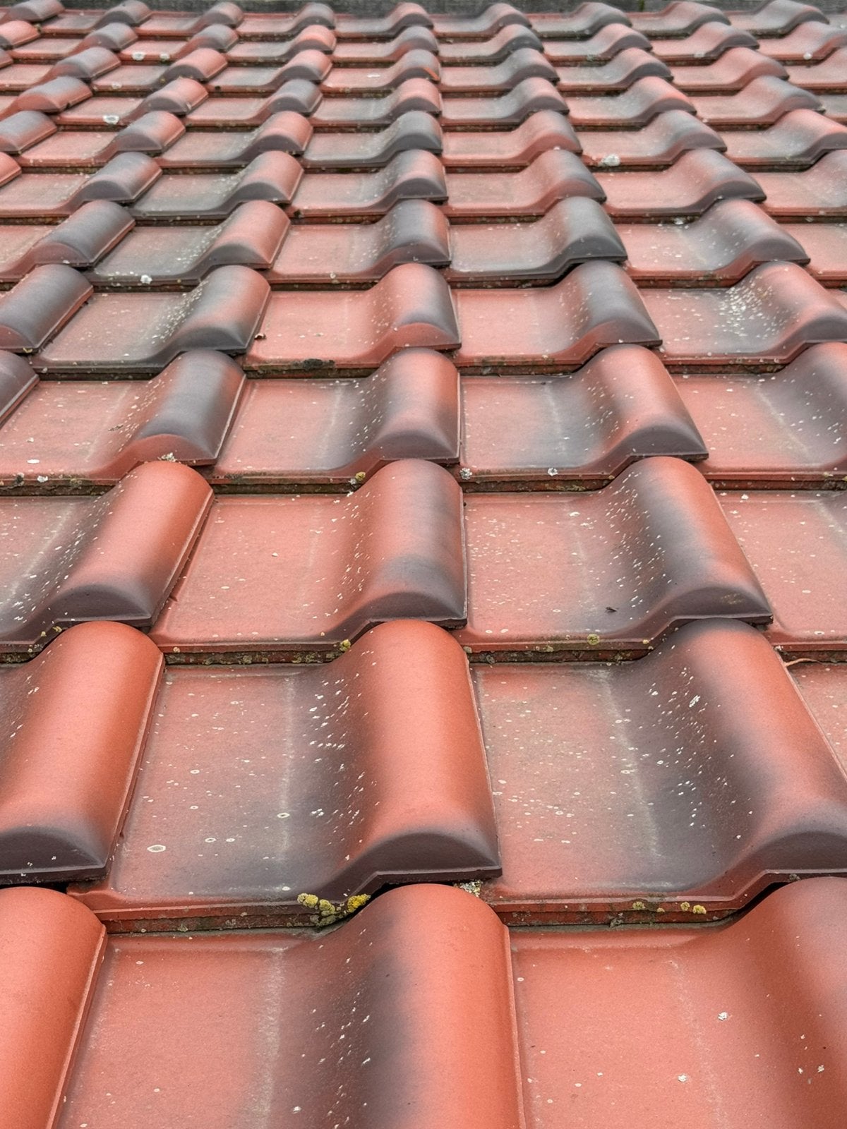 800 rode dakpannen, 7j jong, top staat, Doe-het-zelf en Bouw, Dakpannen en Dakbedekking, Ophalen, Zo goed als nieuw, Rood, Dakpannen