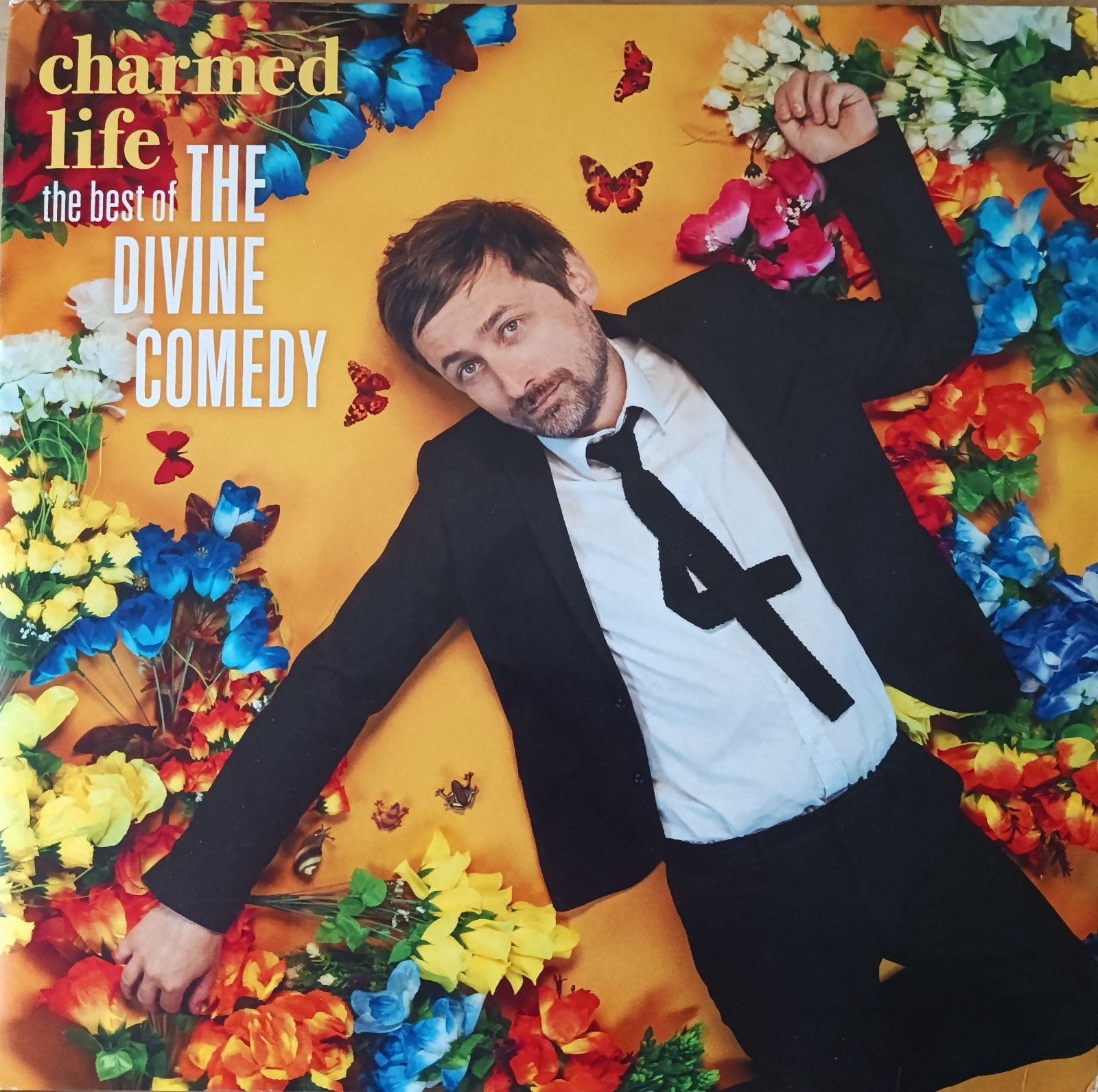 The Divine Comedy : best of ( 4 vinyles), Cd's en Dvd's, Vinyl | Rock, Ophalen, Zo goed als nieuw, Classic Rock