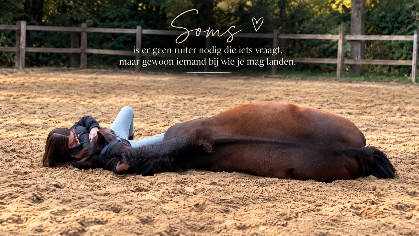 Lieve merrie, Dieren en Toebehoren, Merrie