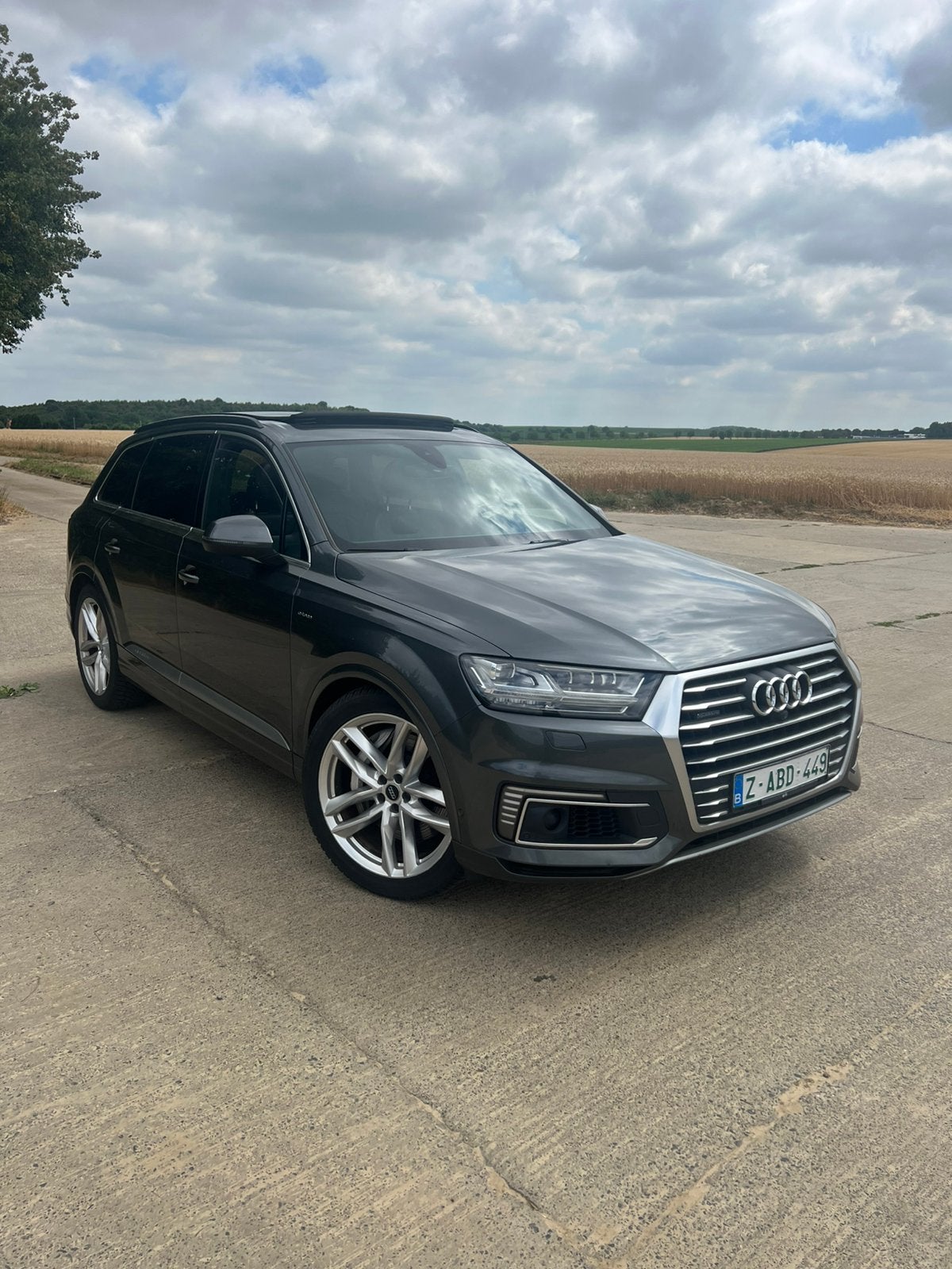 Audi Q7 3.0 TDI V6 QUATTRO E-TRON PHEV 3.500kg, Auto's, Automaat, Euro 6, Q7, Particulier