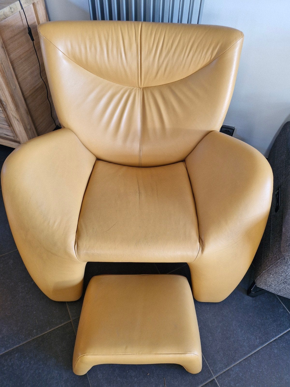 Leolux Echnaton, Enlèvement, Utilisé, Cuir