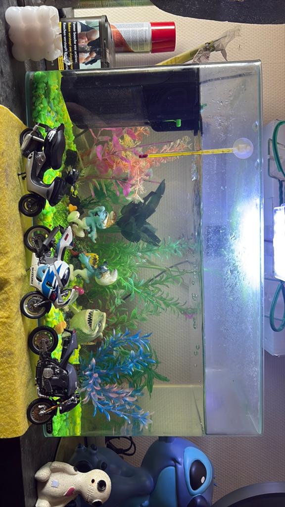 Aquarium + toebehoren, Ophalen, Zo goed als nieuw