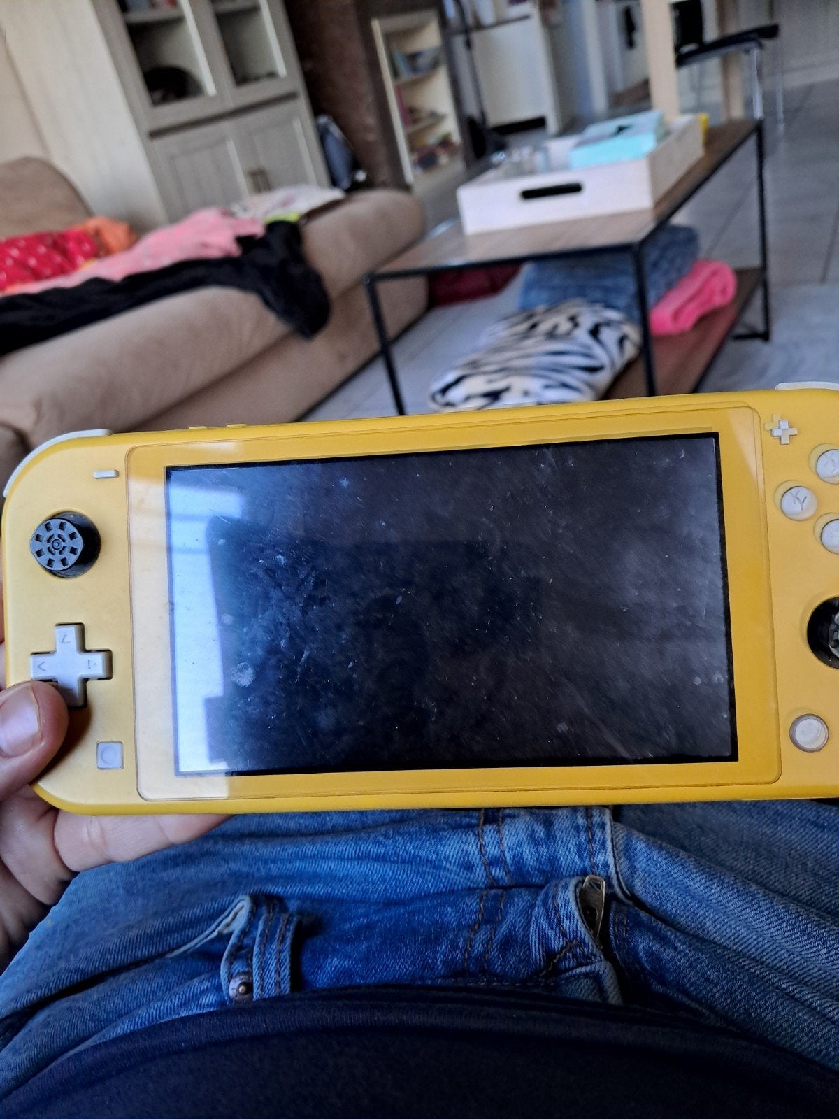 nintendo switch lite, Ophalen