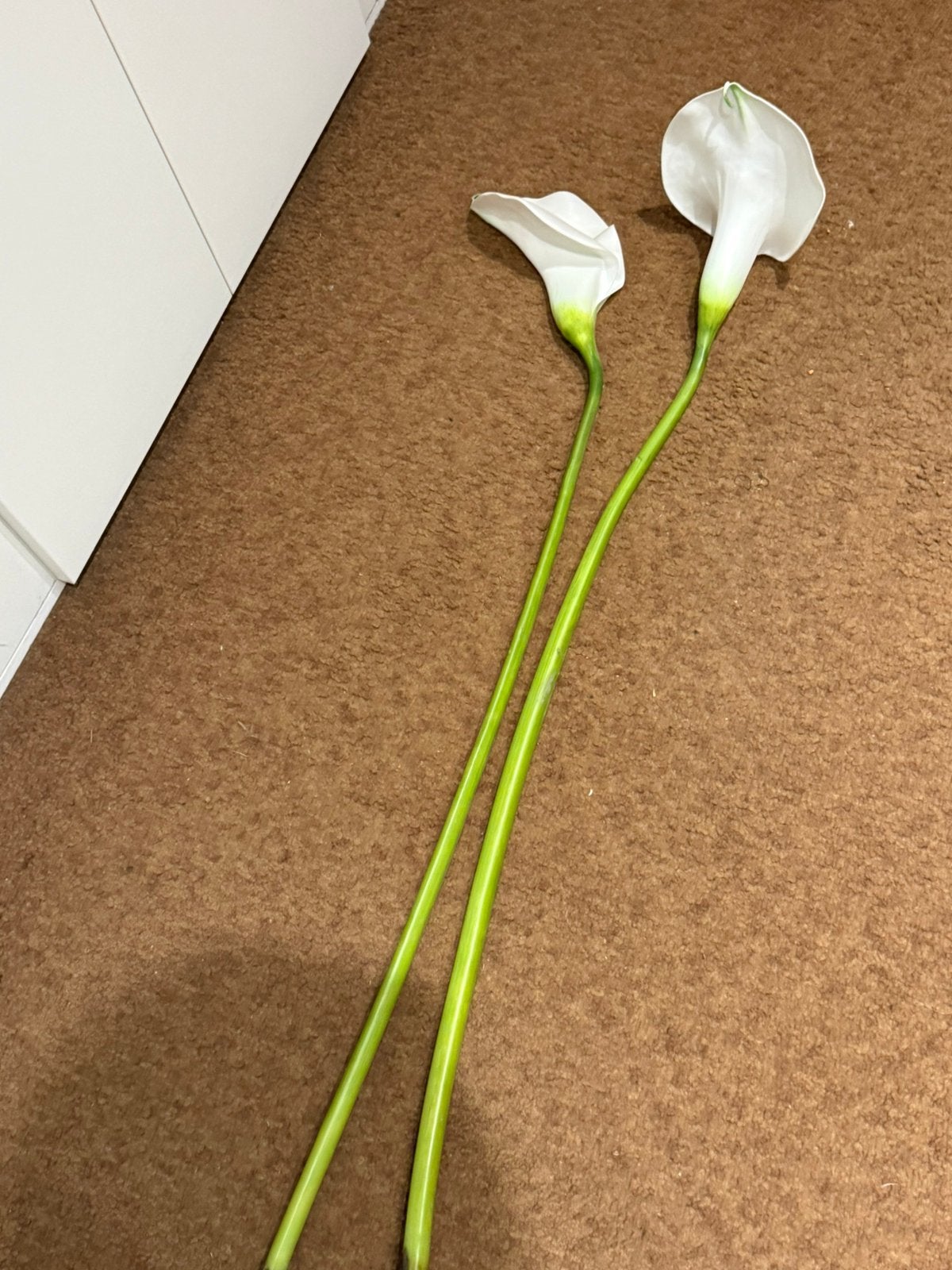 2 grote kunstbloemen calla – 90 cm, Ophalen, Zo goed als nieuw