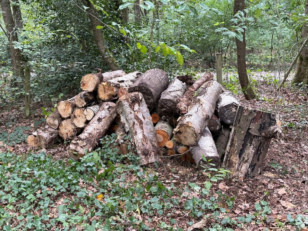 Brandhout, Minder dan 3 m³, Ophalen, Berkenhout, Stammen