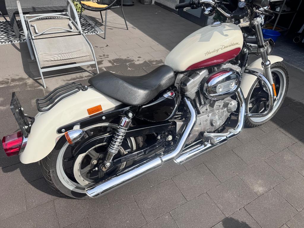 Harley XL Sportster 883, Motoren, Motoren | Harley-Davidson, Occasion, Chopper, 883 cc, Particulier