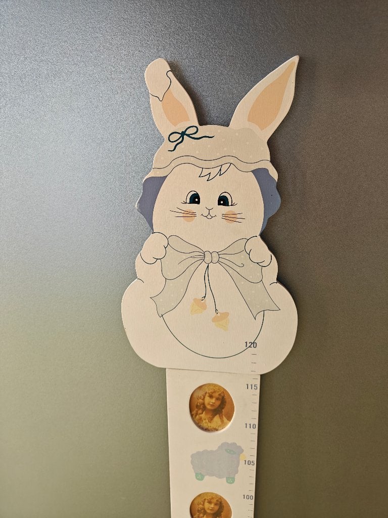 Groeimeter, Kinderen en Baby's, Kinderkamer | Inrichting en Decoratie, Ophalen, Nieuw, Overige typen