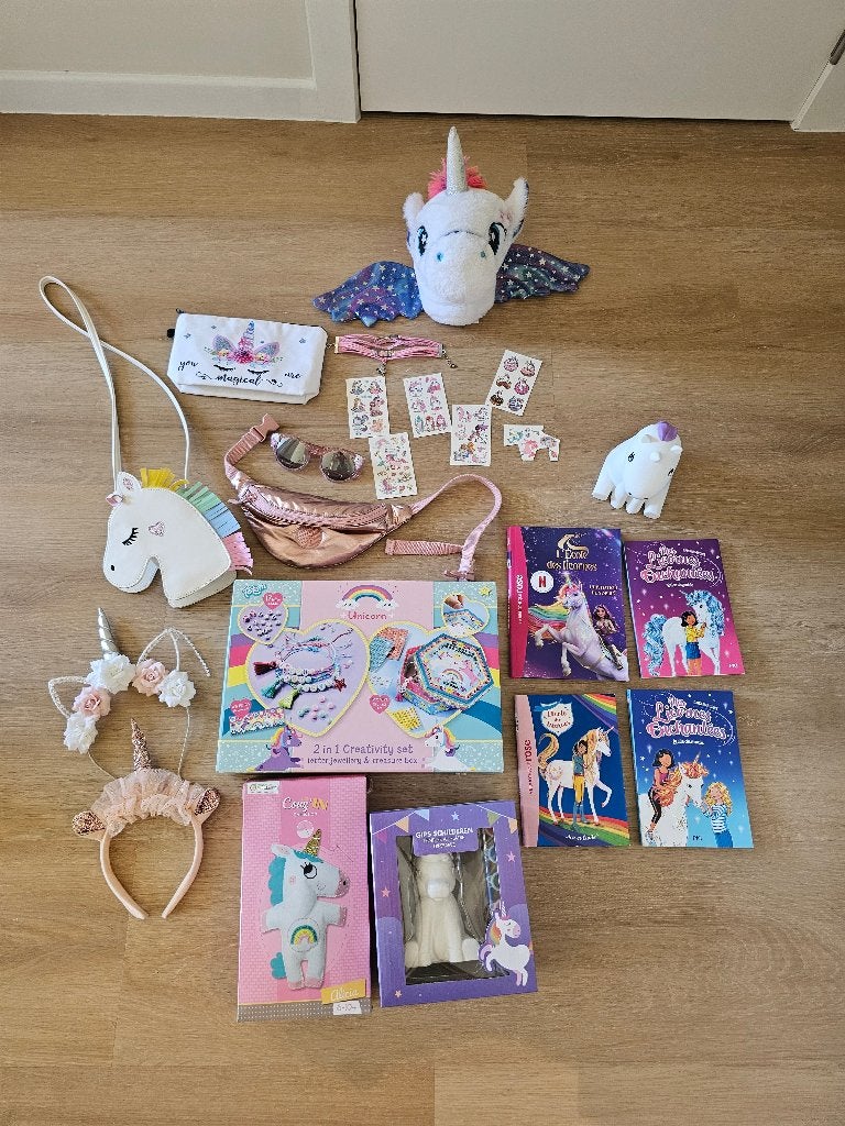 Ensemble objets, livres et bricolages LICORNES pour enfants, Enlèvement, Neuf, Bricolage