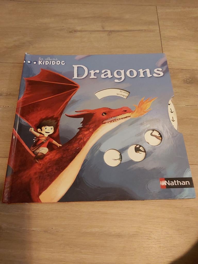 Livre sur les dragons, en français, Livres, Enlèvement ou Envoi, Comme neuf, Français