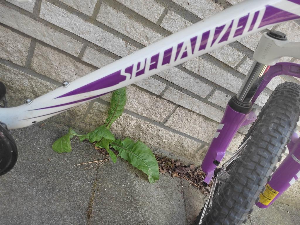 KINDERFIETS, Ophalen, Gebruikt, Rockrider, Verstelbare zitting