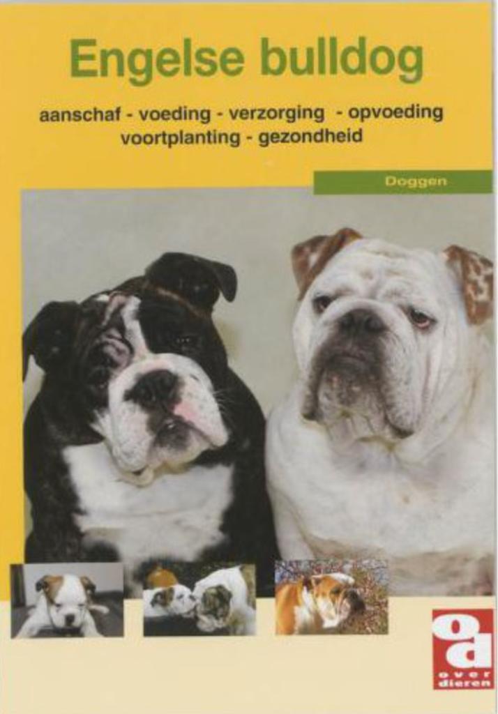 Engelse Bulldog, Over dieren, Ophalen, Honden
