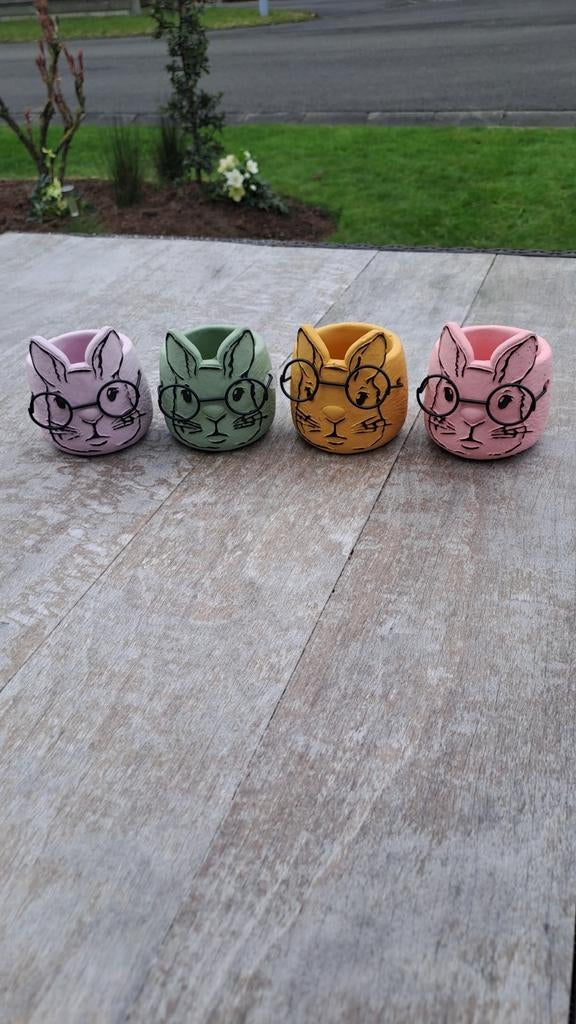 Bloempotjes (konijn met bril), Tuin en Terras, Ophalen, Nieuw