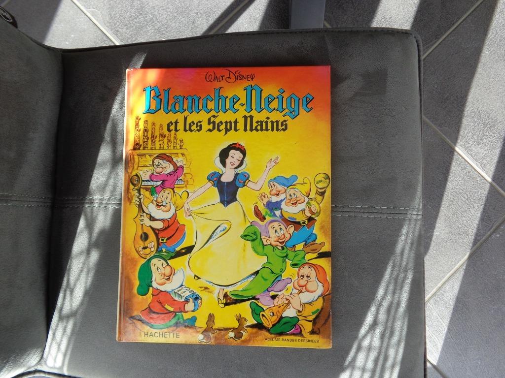 BD "Blanche Neige et les 7 nains" 1973, Enlèvement