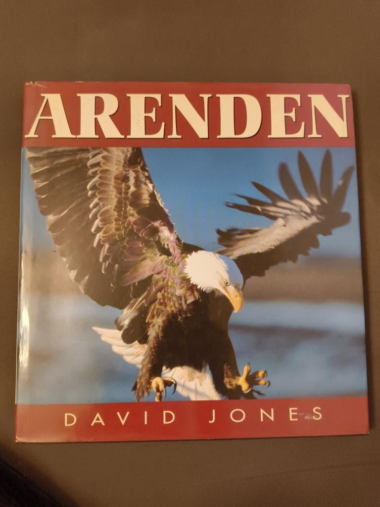 Arenden - David Jones, Ophalen of Verzenden, Gelezen
