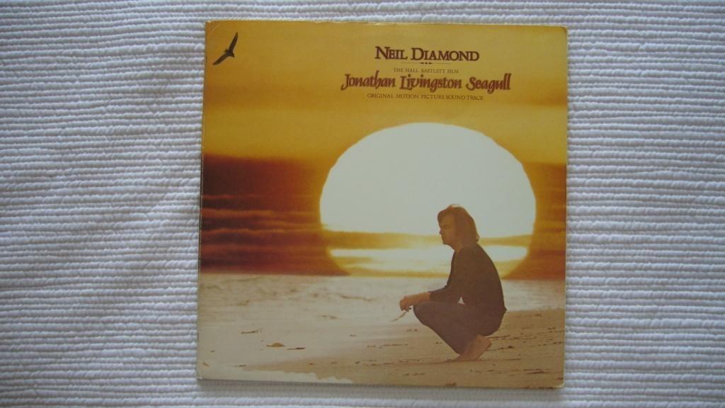 JONATHAN LIVINGSTON SEAGULL - Disque 33 T, CD & DVD, Enlèvement, Comme neuf