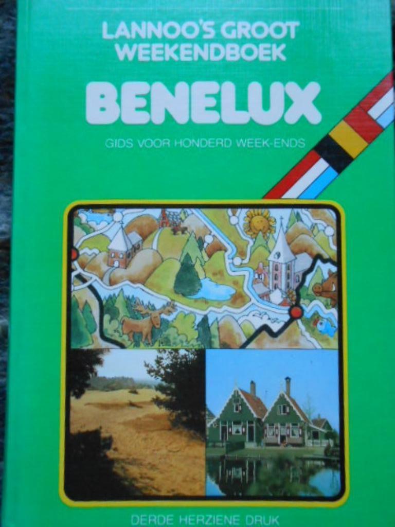 Lannoo's groot weekendboek BENELUX, Guide ou Livre de voyage, Autres marques, Enlèvement ou Envoi, Comme neuf