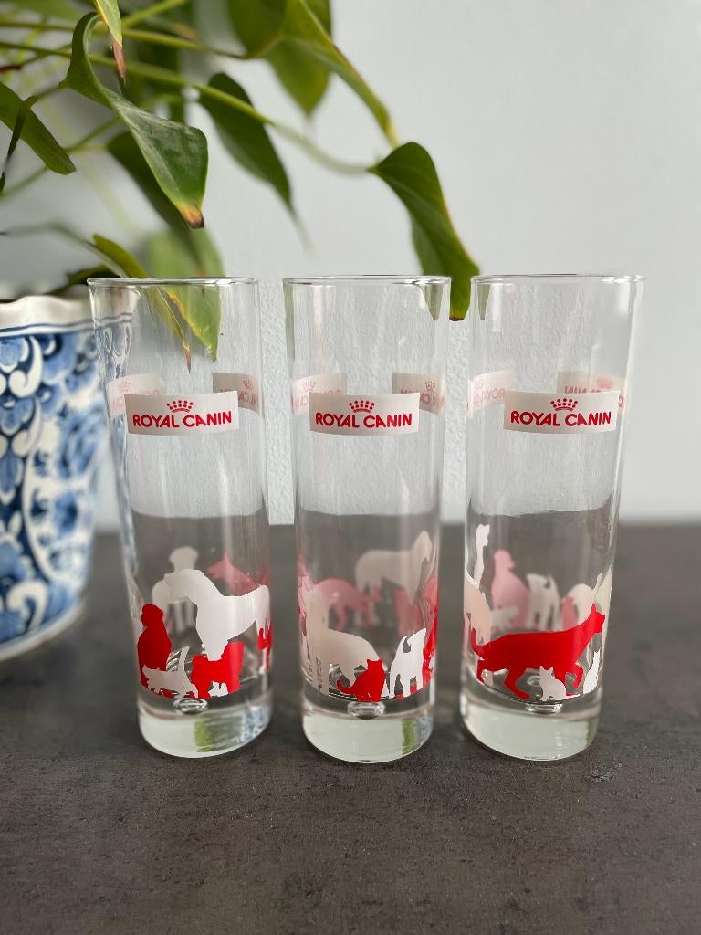 Douze verres Royal Canin, Enlèvement